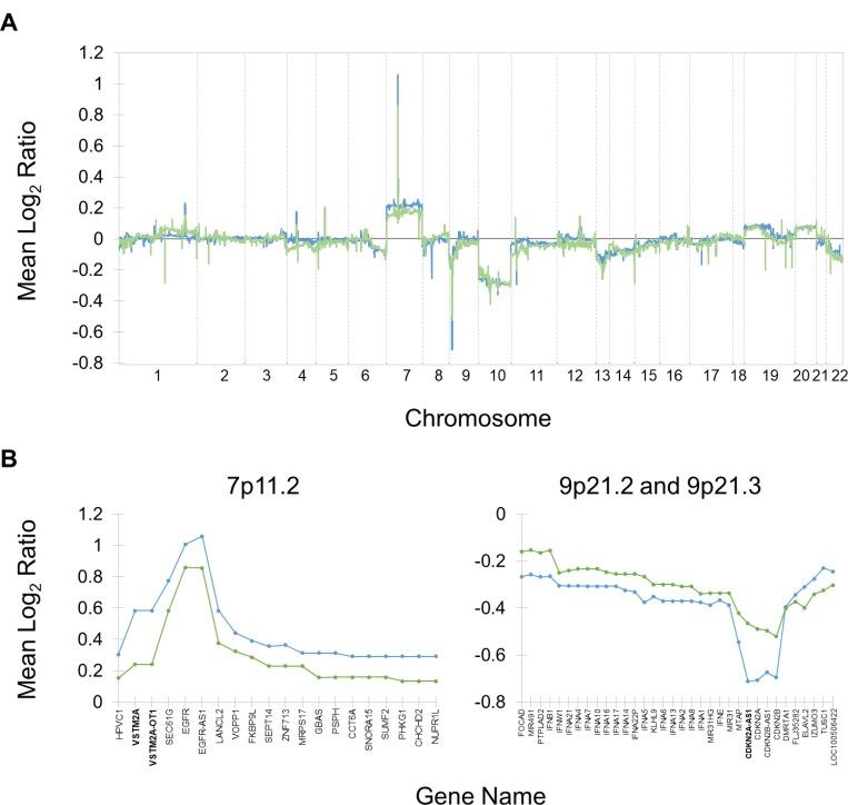 https://cdn.ncbi.nlm.nih.gov/pmc/blobs/f46a/6033343/c8cf07af1882/oncotarget-09-28421-g002.jpg