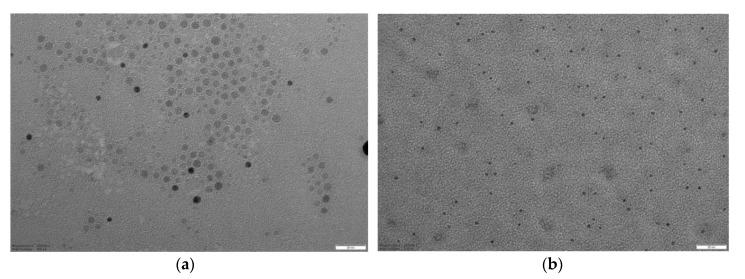 https://cdn.ncbi.nlm.nih.gov/pmc/blobs/f46a/7353427/d1930553da69/nanomaterials-10-01011-g003a.jpg