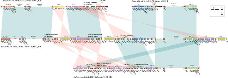 https://cdn.ncbi.nlm.nih.gov/pmc/blobs/f46a/7516988/7fc02bdfdf37/fmicb-11-02068-g003.jpg