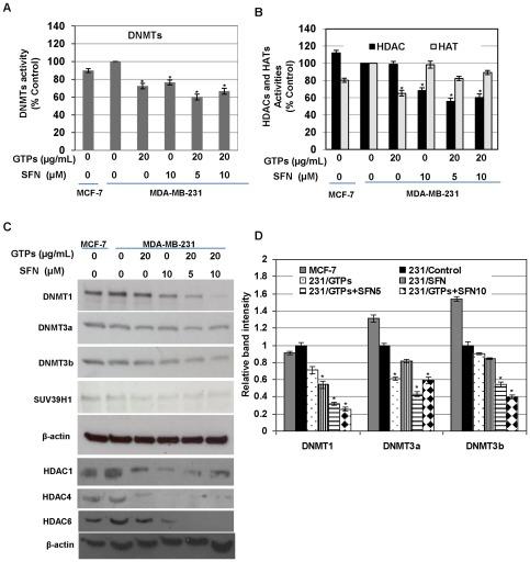 https://cdn.ncbi.nlm.nih.gov/pmc/blobs/f46b/3360625/0c462cf60b10/pone.0037748.g003.jpg