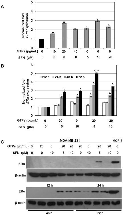 https://cdn.ncbi.nlm.nih.gov/pmc/blobs/f46b/3360625/1bab6fa6683a/pone.0037748.g002.jpg