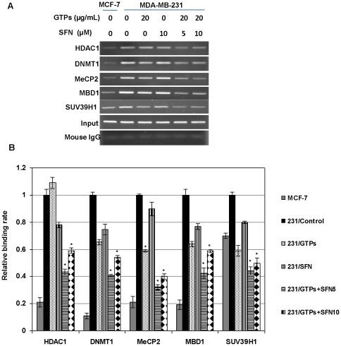 https://cdn.ncbi.nlm.nih.gov/pmc/blobs/f46b/3360625/cadf28fbdb16/pone.0037748.g005.jpg