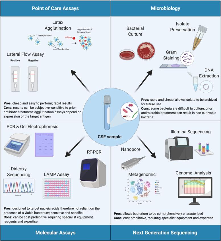 https://cdn.ncbi.nlm.nih.gov/pmc/blobs/f46e/7957090/0a50693f6585/gr1.jpg