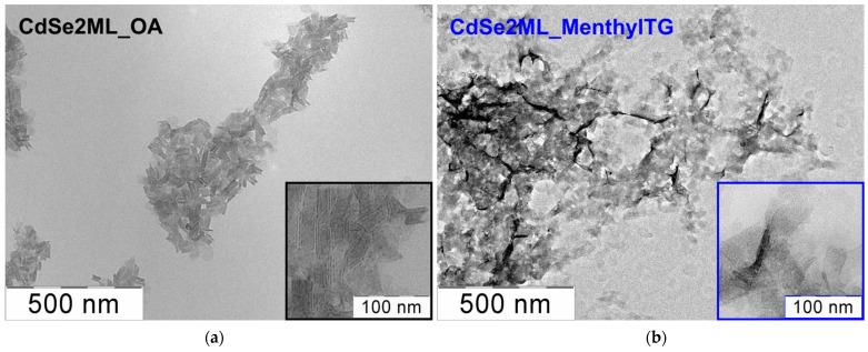 https://cdn.ncbi.nlm.nih.gov/pmc/blobs/f473/11643598/1dd43154e4fe/nanomaterials-14-01921-g003.jpg