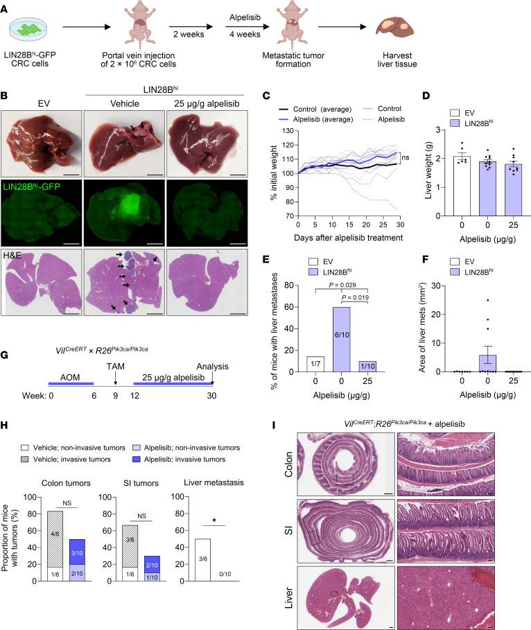 https://cdn.ncbi.nlm.nih.gov/pmc/blobs/f473/11996871/d50bc6777cf8/jci-135-186035-g243.jpg