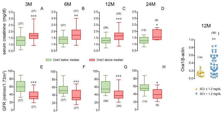https://cdn.ncbi.nlm.nih.gov/pmc/blobs/f473/12249094/0f1f1b56b428/cells-14-01005-g007.jpg