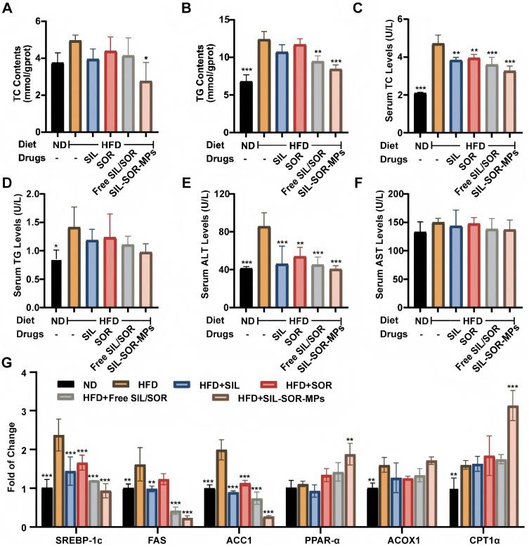 https://cdn.ncbi.nlm.nih.gov/pmc/blobs/f475/12132069/84b9b33f3555/IJN-20-6949-g0006.jpg