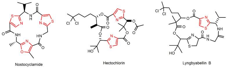 https://cdn.ncbi.nlm.nih.gov/pmc/blobs/f476/10300848/551620de987b/marinedrugs-21-00359-g008.jpg