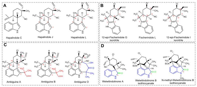 https://cdn.ncbi.nlm.nih.gov/pmc/blobs/f476/10300848/bfcff4dcf854/marinedrugs-21-00359-g015.jpg