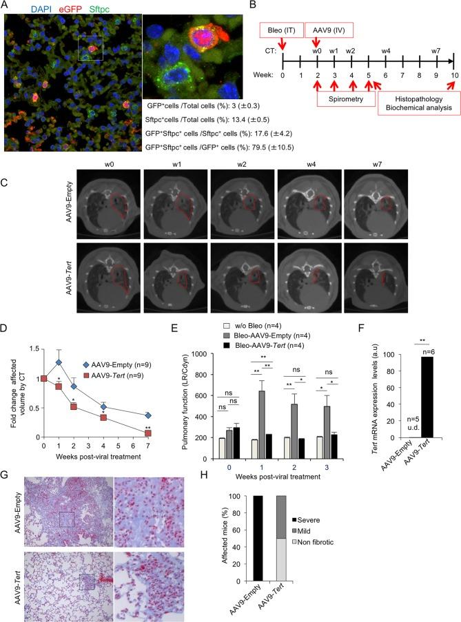 https://cdn.ncbi.nlm.nih.gov/pmc/blobs/f477/5818250/6437cc6fbf30/elife-31299-fig1.jpg
