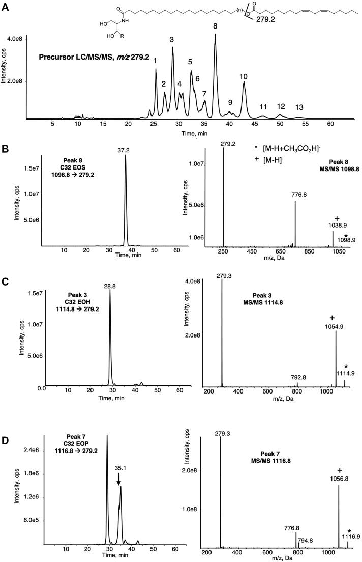https://cdn.ncbi.nlm.nih.gov/pmc/blobs/f477/8326207/30c8a14d0334/gr1.jpg