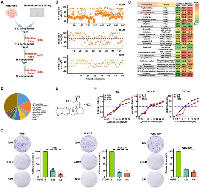 https://cdn.ncbi.nlm.nih.gov/pmc/blobs/f479/12220003/4af2009cb172/12964_2025_2318_Fig1_HTML.jpg