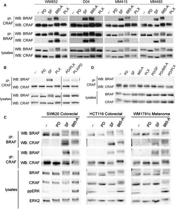 https://cdn.ncbi.nlm.nih.gov/pmc/blobs/f47c/2872605/b2ea0bd195e9/gr2.jpg