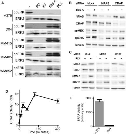 https://cdn.ncbi.nlm.nih.gov/pmc/blobs/f47c/2872605/eb0d1588db89/gr1.jpg