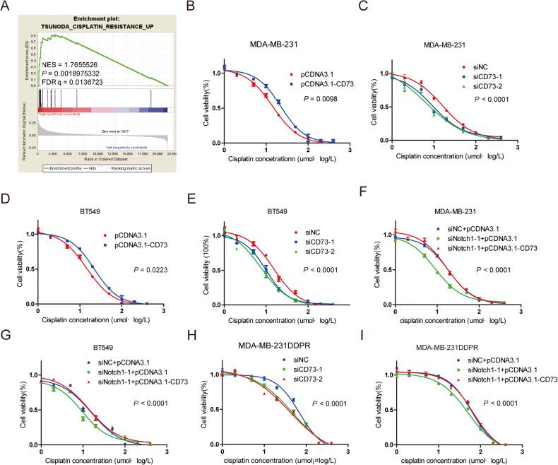 https://cdn.ncbi.nlm.nih.gov/pmc/blobs/f47d/10313677/fdaefdd0a3a1/41420_2023_1487_Fig4_HTML.jpg