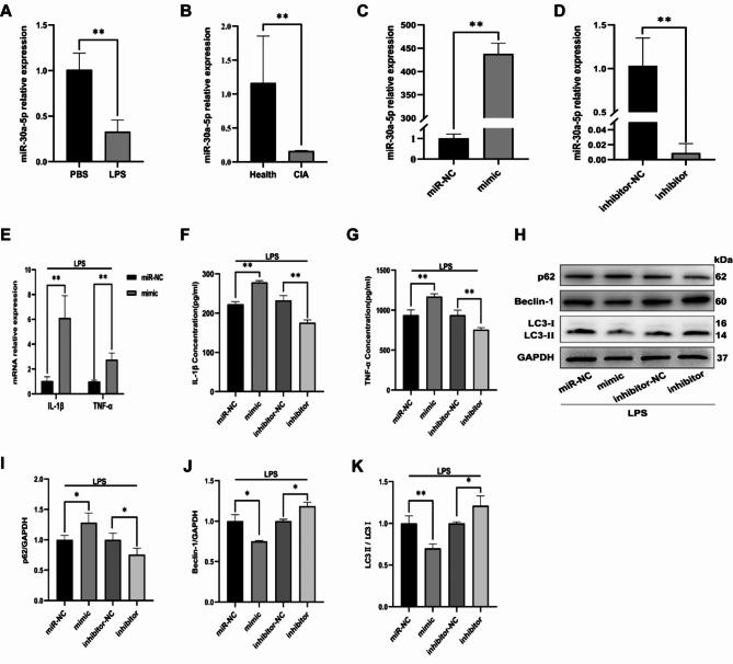 https://cdn.ncbi.nlm.nih.gov/pmc/blobs/f47e/11442610/51b03802bd35/41598_2024_73607_Fig4_HTML.jpg