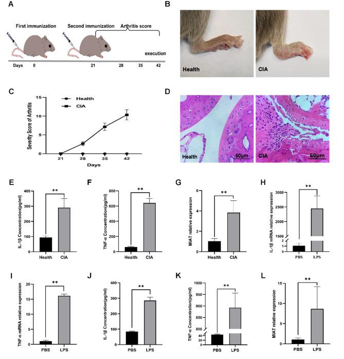 https://cdn.ncbi.nlm.nih.gov/pmc/blobs/f47e/11442610/fc36869e49b2/41598_2024_73607_Fig1_HTML.jpg