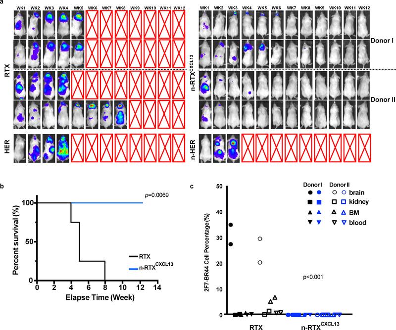 https://cdn.ncbi.nlm.nih.gov/pmc/blobs/f482/6736720/51735f95821b/nihms-1532984-f0006.jpg