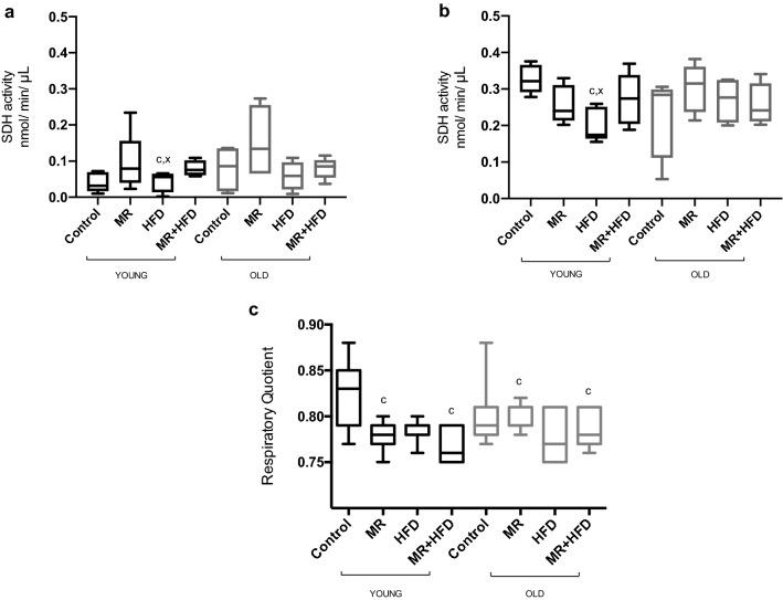 https://cdn.ncbi.nlm.nih.gov/pmc/blobs/f483/7806605/5811e0ad4b31/41598_2021_81037_Fig5_HTML.jpg