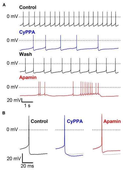 https://cdn.ncbi.nlm.nih.gov/pmc/blobs/f484/3278045/648f7769d6b8/fphar-03-00011-a001.jpg