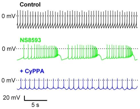 https://cdn.ncbi.nlm.nih.gov/pmc/blobs/f484/3278045/86ee403dfdce/fphar-03-00011-g004.jpg
