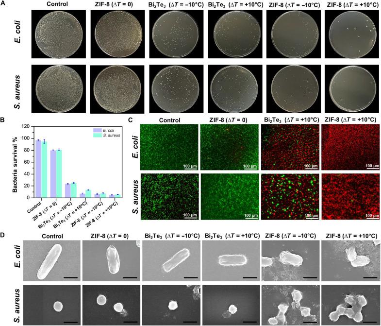 https://cdn.ncbi.nlm.nih.gov/pmc/blobs/f485/11708883/3da412d5f90b/sciadv.ads4711-f5.jpg