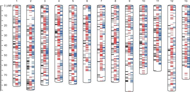 https://cdn.ncbi.nlm.nih.gov/pmc/blobs/f485/8435550/fddd70083ba0/dsab010f2.jpg