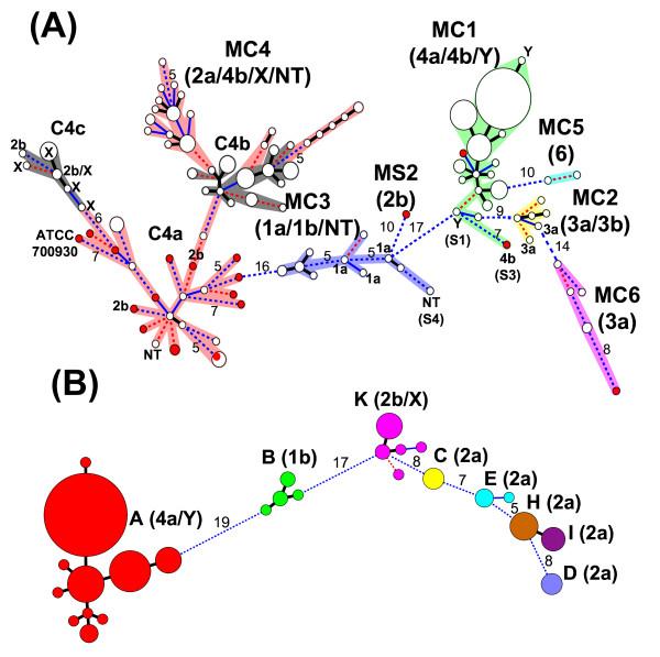 https://cdn.ncbi.nlm.nih.gov/pmc/blobs/f486/2806262/f97efa432128/1471-2180-9-278-2.jpg