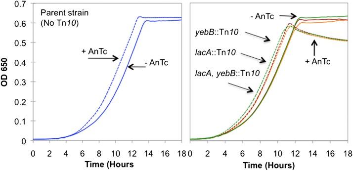 https://cdn.ncbi.nlm.nih.gov/pmc/blobs/f487/4224180/7c8d80a17df8/919fig3.jpg