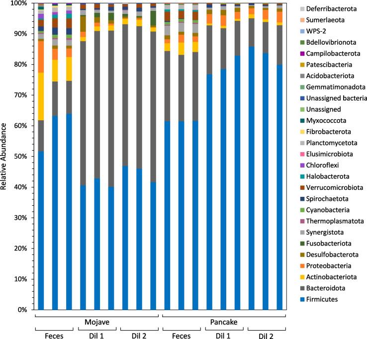 https://cdn.ncbi.nlm.nih.gov/pmc/blobs/f489/12174229/00455314d561/248_2025_2557_Fig2_HTML.jpg