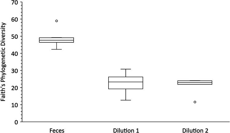 https://cdn.ncbi.nlm.nih.gov/pmc/blobs/f489/12174229/a44bb1ec5c67/248_2025_2557_Fig4_HTML.jpg