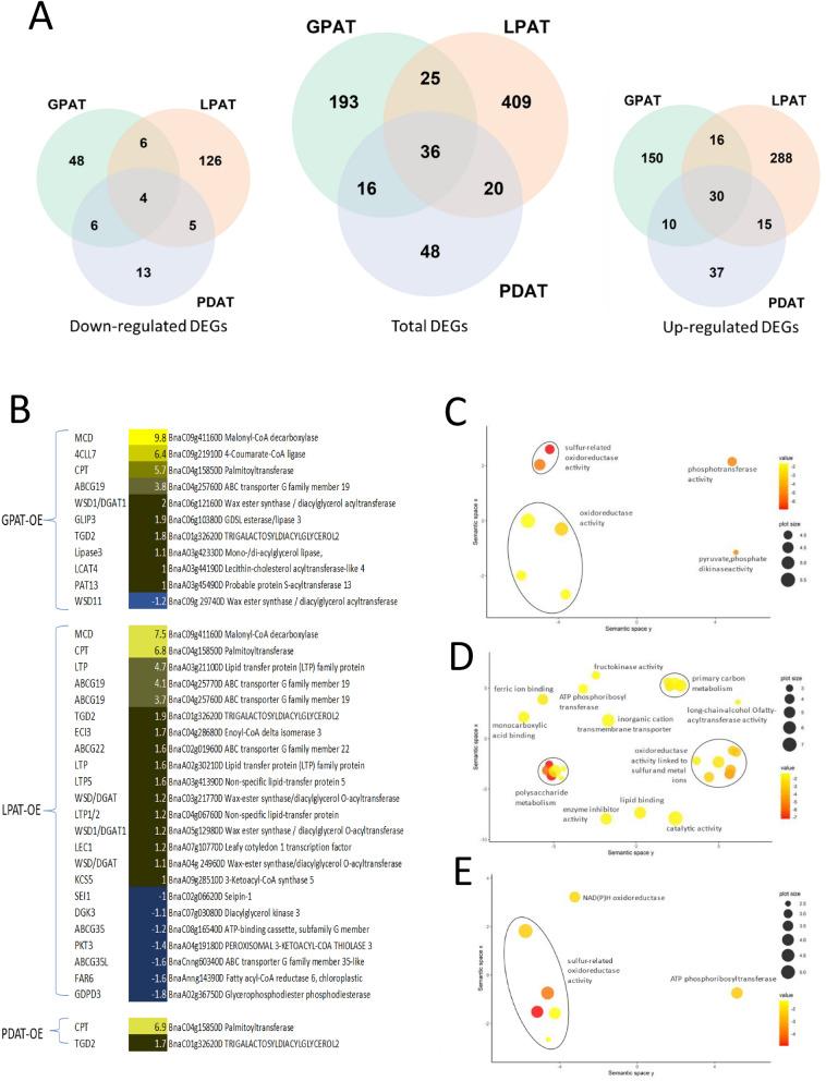 https://cdn.ncbi.nlm.nih.gov/pmc/blobs/f489/8888550/7d37e232ee85/41598_2022_7387_Fig4_HTML.jpg