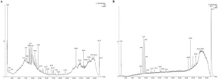 https://cdn.ncbi.nlm.nih.gov/pmc/blobs/f48a/12183238/3b2cf7b409ed/fphar-16-1585748-g001.jpg