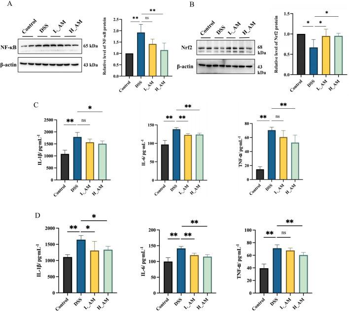 https://cdn.ncbi.nlm.nih.gov/pmc/blobs/f48a/12183238/607aafc669d4/fphar-16-1585748-g009.jpg