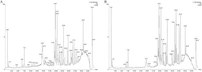 https://cdn.ncbi.nlm.nih.gov/pmc/blobs/f48a/12183238/a39d6e55f9e0/fphar-16-1585748-g010.jpg