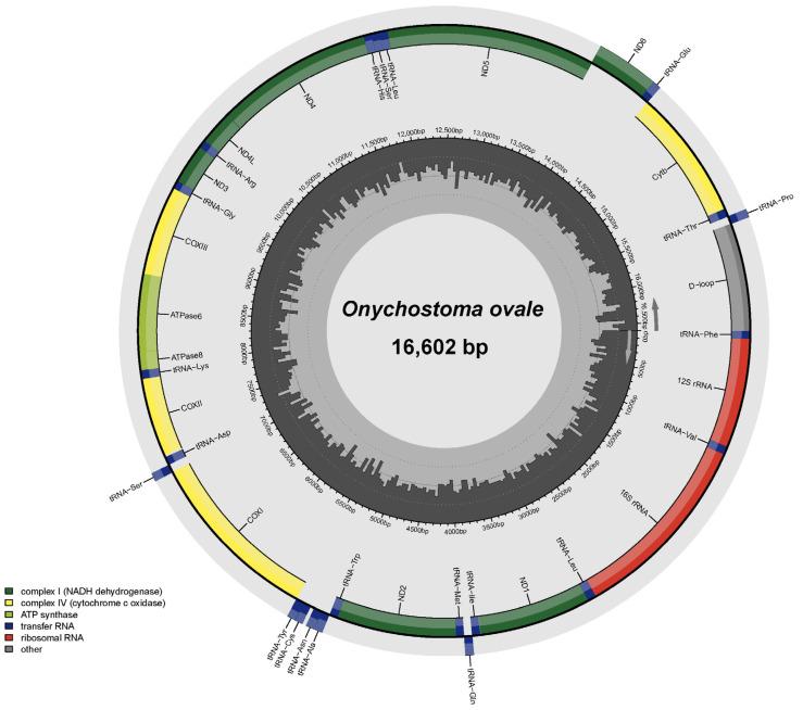 https://cdn.ncbi.nlm.nih.gov/pmc/blobs/f48b/10298739/e0ece5bd24e3/genes-14-01227-g001.jpg