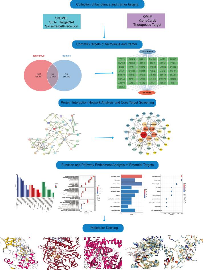 https://cdn.ncbi.nlm.nih.gov/pmc/blobs/f48b/12216549/1a2911b3d3f0/41598_2025_2381_Fig1_HTML.jpg