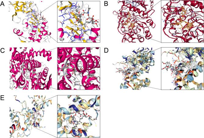 https://cdn.ncbi.nlm.nih.gov/pmc/blobs/f48b/12216549/d1f87ae5fd93/41598_2025_2381_Fig8_HTML.jpg