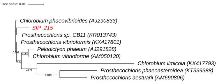 https://cdn.ncbi.nlm.nih.gov/pmc/blobs/f48b/6163709/56dea2d0d527/microorganisms-06-00059-g006.jpg
