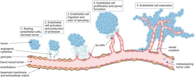 https://cdn.ncbi.nlm.nih.gov/pmc/blobs/f48d/10329089/5f9d361faaf8/10456_2023_9876_Fig3_HTML.jpg