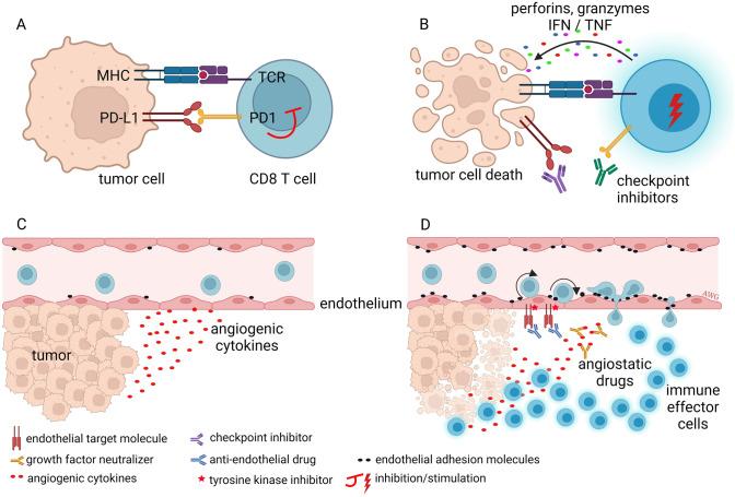 https://cdn.ncbi.nlm.nih.gov/pmc/blobs/f48d/10329089/ba1ff4da9278/10456_2023_9876_Fig8_HTML.jpg