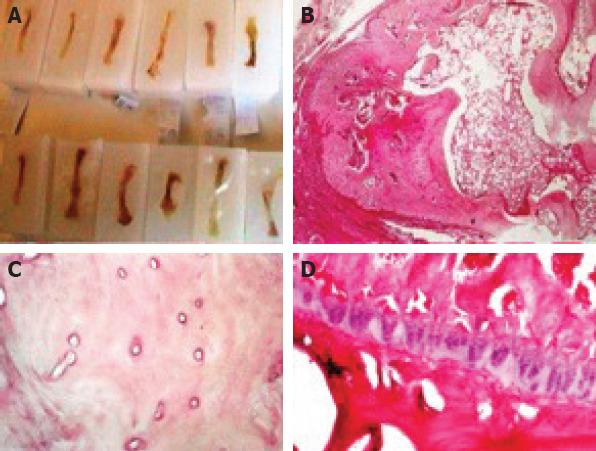 https://cdn.ncbi.nlm.nih.gov/pmc/blobs/f494/7881430/cb2a991c320f/NCI-8-8-g006.jpg