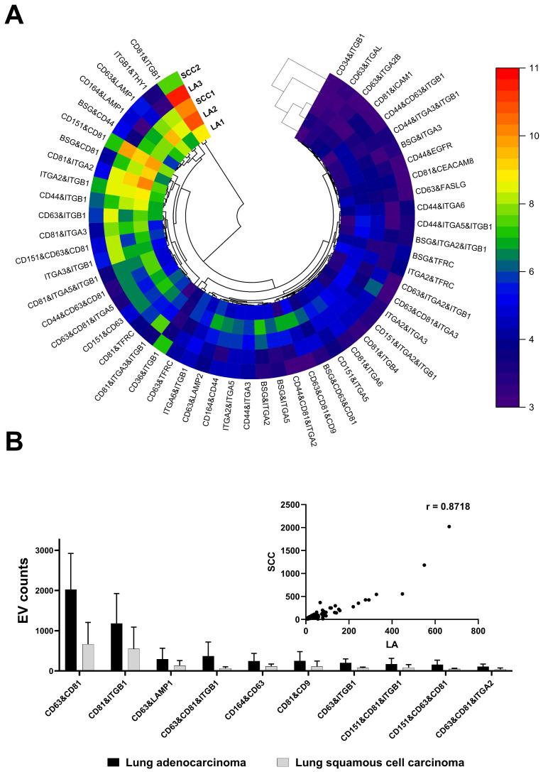 https://cdn.ncbi.nlm.nih.gov/pmc/blobs/f497/10971644/6cfbd414a6ad/life-14-00408-g003.jpg