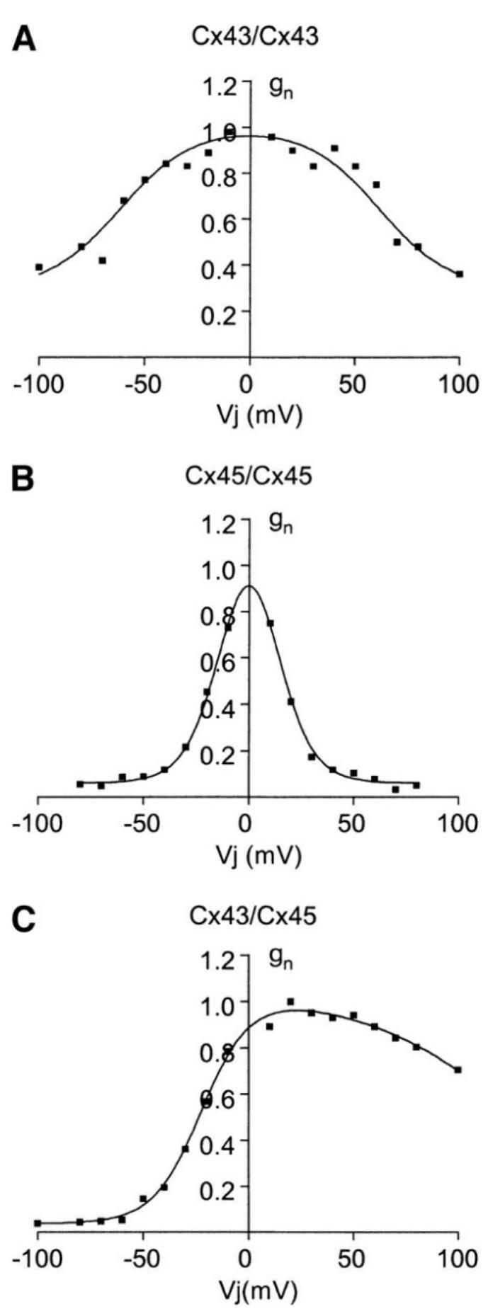 https://cdn.ncbi.nlm.nih.gov/pmc/blobs/f497/8582473/75d96a397d94/cancers-13-05300-g001.jpg
