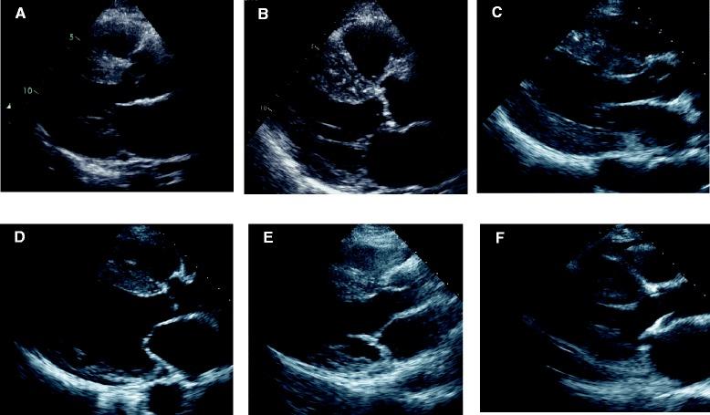 https://cdn.ncbi.nlm.nih.gov/pmc/blobs/f498/4467071/191fb0d346d7/12872_2015_43_Fig1_HTML.jpg