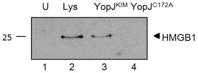 https://cdn.ncbi.nlm.nih.gov/pmc/blobs/f499/3338577/139eb22b845e/pone.0036019.g005.jpg