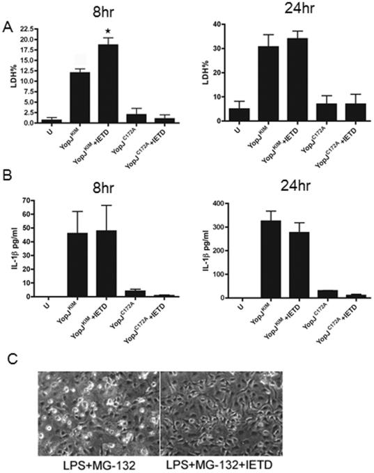 https://cdn.ncbi.nlm.nih.gov/pmc/blobs/f499/3338577/fa814b0747d0/pone.0036019.g003.jpg