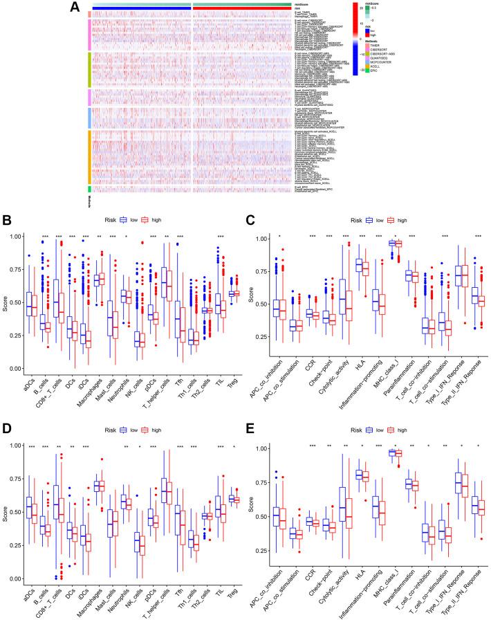https://cdn.ncbi.nlm.nih.gov/pmc/blobs/f49d/9417220/3b029ed943b2/aging-14-204209-g009.jpg
