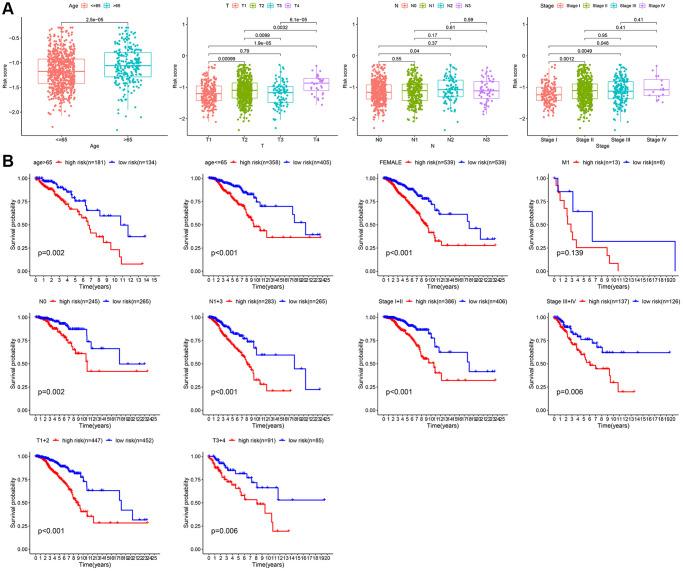 https://cdn.ncbi.nlm.nih.gov/pmc/blobs/f49d/9417220/3ff1b44cb726/aging-14-204209-g006.jpg