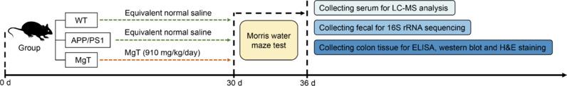 https://cdn.ncbi.nlm.nih.gov/pmc/blobs/f4a0/11034594/34c39526030e/NRR-19-2281-g002.jpg